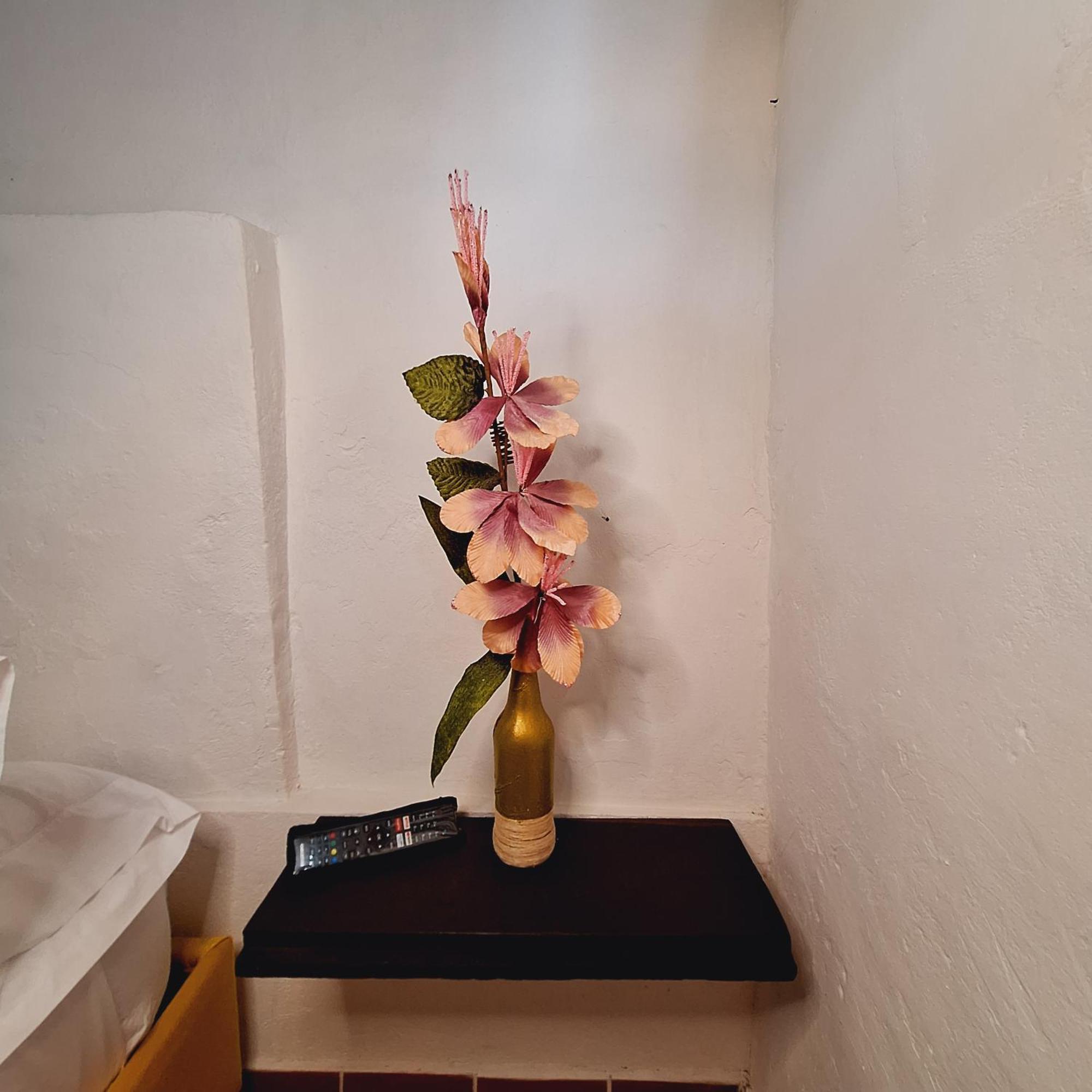 Hostal Colombian Gold San Gil Εξωτερικό φωτογραφία